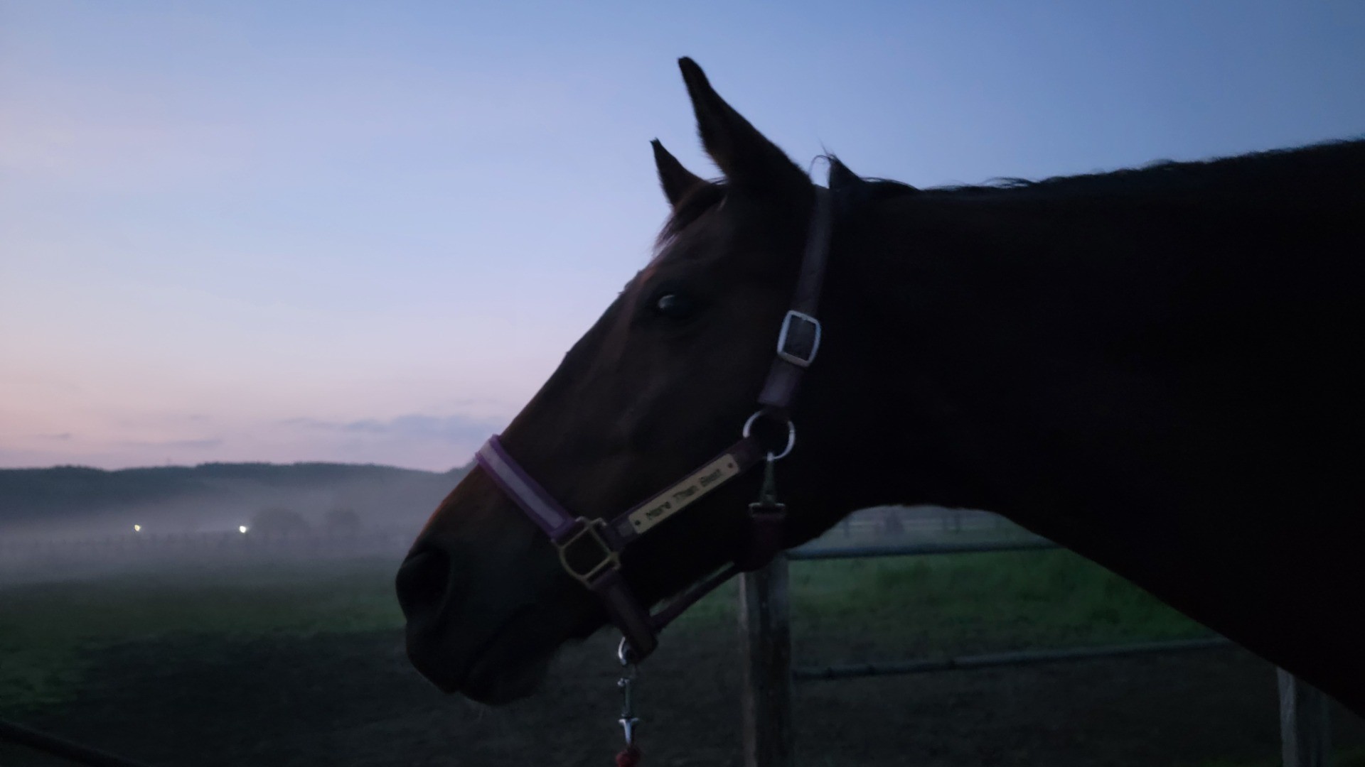 ef6fe994a701128f4415a302b762797a-1760935641.jpg ef6fe994a701128f4415a302b762797a-1760935641.jpg